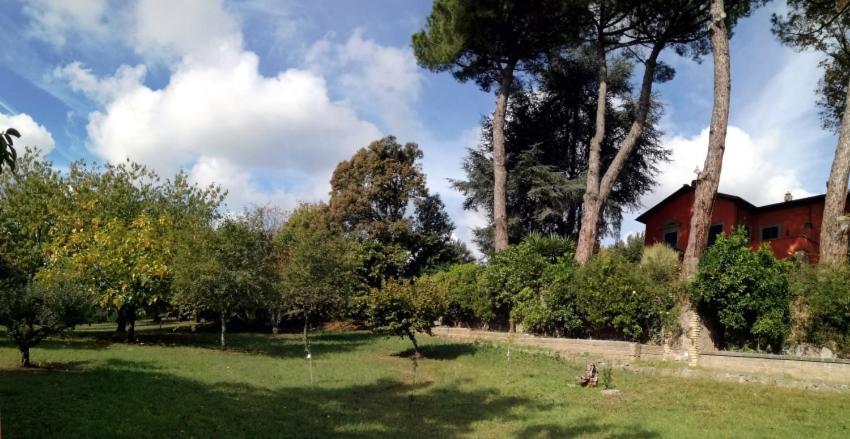 Vigna Dell'Agrifoglio - Bed And Breakfast Velletri Exterior photo