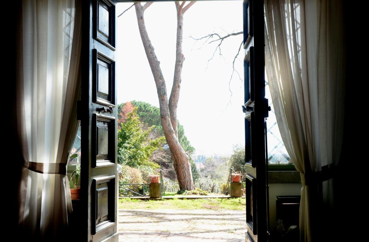 Vigna Dell'Agrifoglio - Bed And Breakfast Velletri Exterior photo