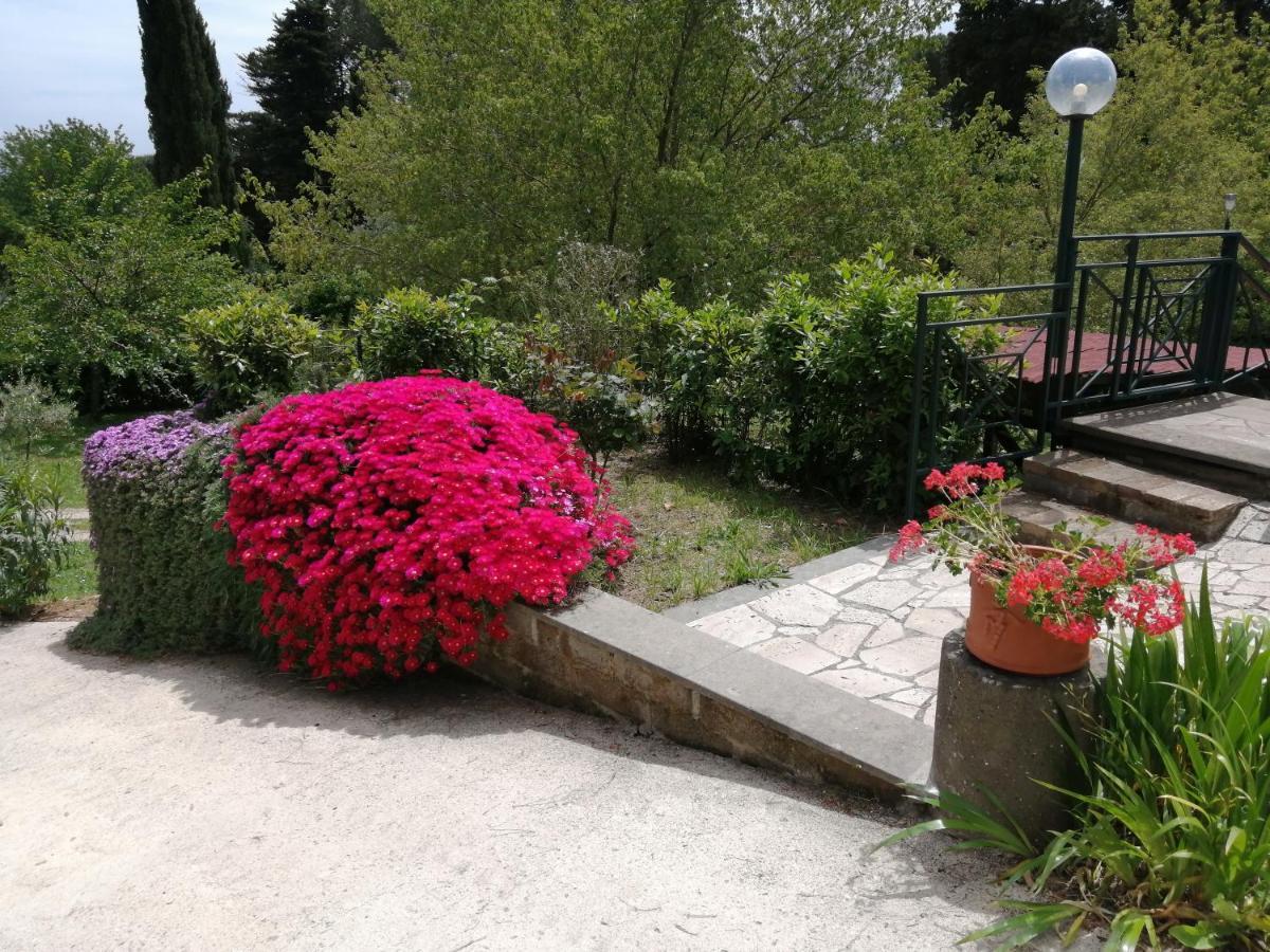 Vigna Dell'Agrifoglio - Bed And Breakfast Velletri Exterior photo